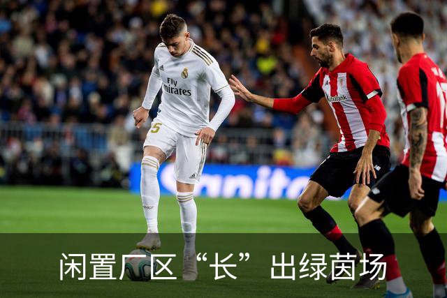 闲置厂区“长”出绿茵场