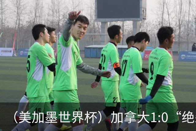 （美加墨世界杯）加拿大1:0“绝杀”南非 队史首进16强